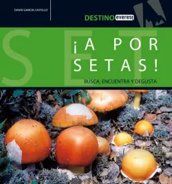 ¡A por setas! Certificado