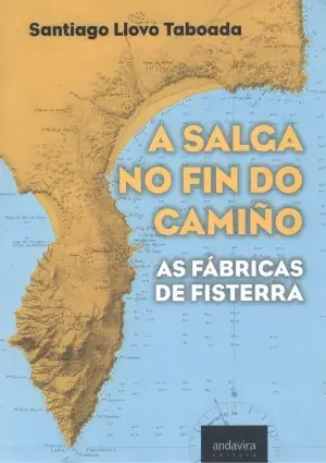 Oferta Flash A Salga no Fin Do Camiño