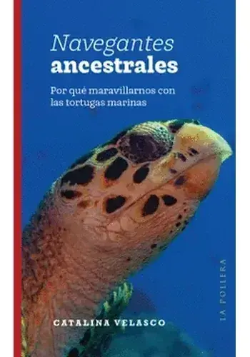 Precio Bajo NAVEGANTES ANCESTRALES. POR QUE MARAVILLARNOS CON LAS TORTUGAS MARINAS NAVEGANTES ANCESTRALES. POR QUE MARAVILLARNOS CON LAS TORTUGAS MARINAS