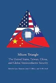 Silicon triangle Precio Bajo