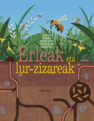 ERLEAK ETA LUR-ZIZAREAK Solo Hoy